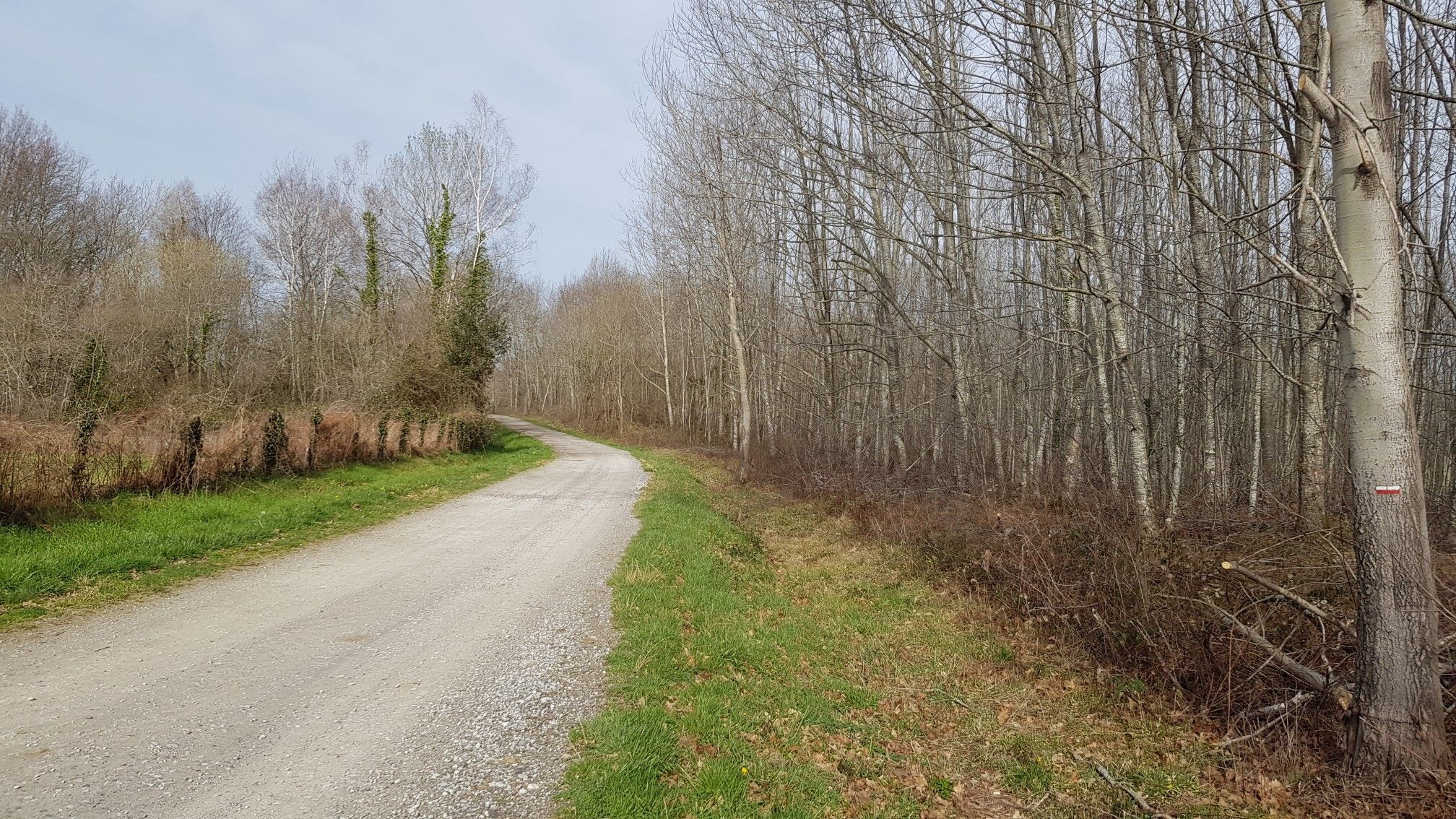 Plus de 3 kms sur cette piste, ça m'a paru très long !