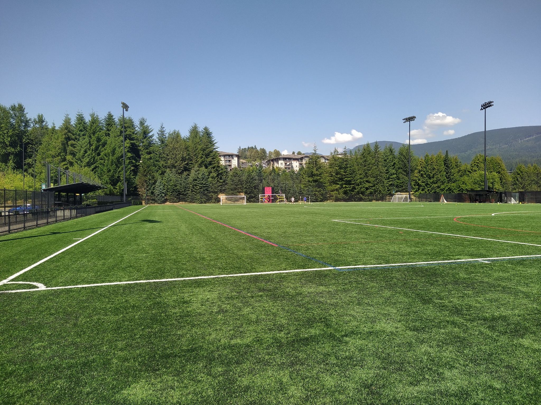 plastique grass