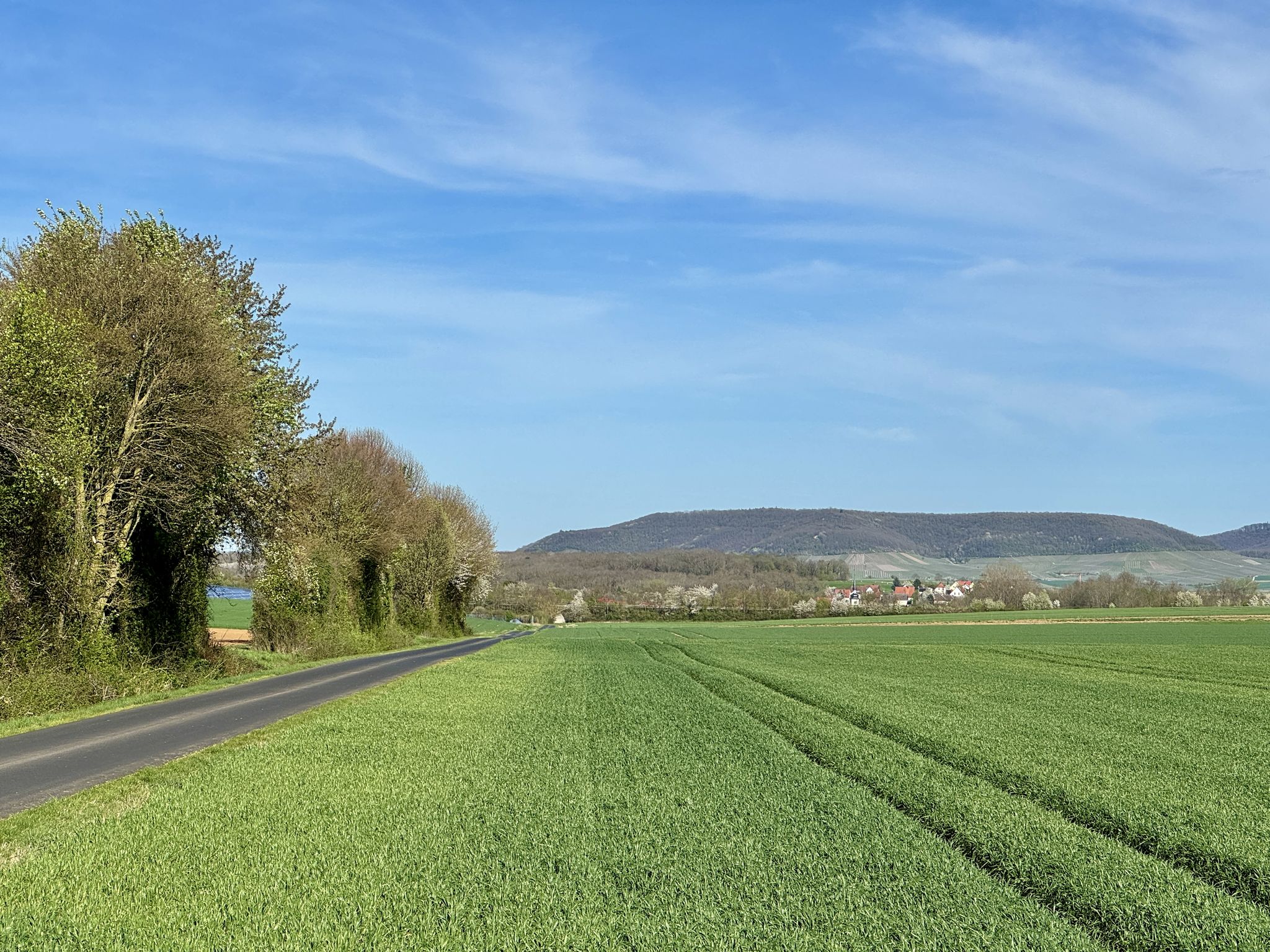 Blick zurück zum Bullenheimer Berg