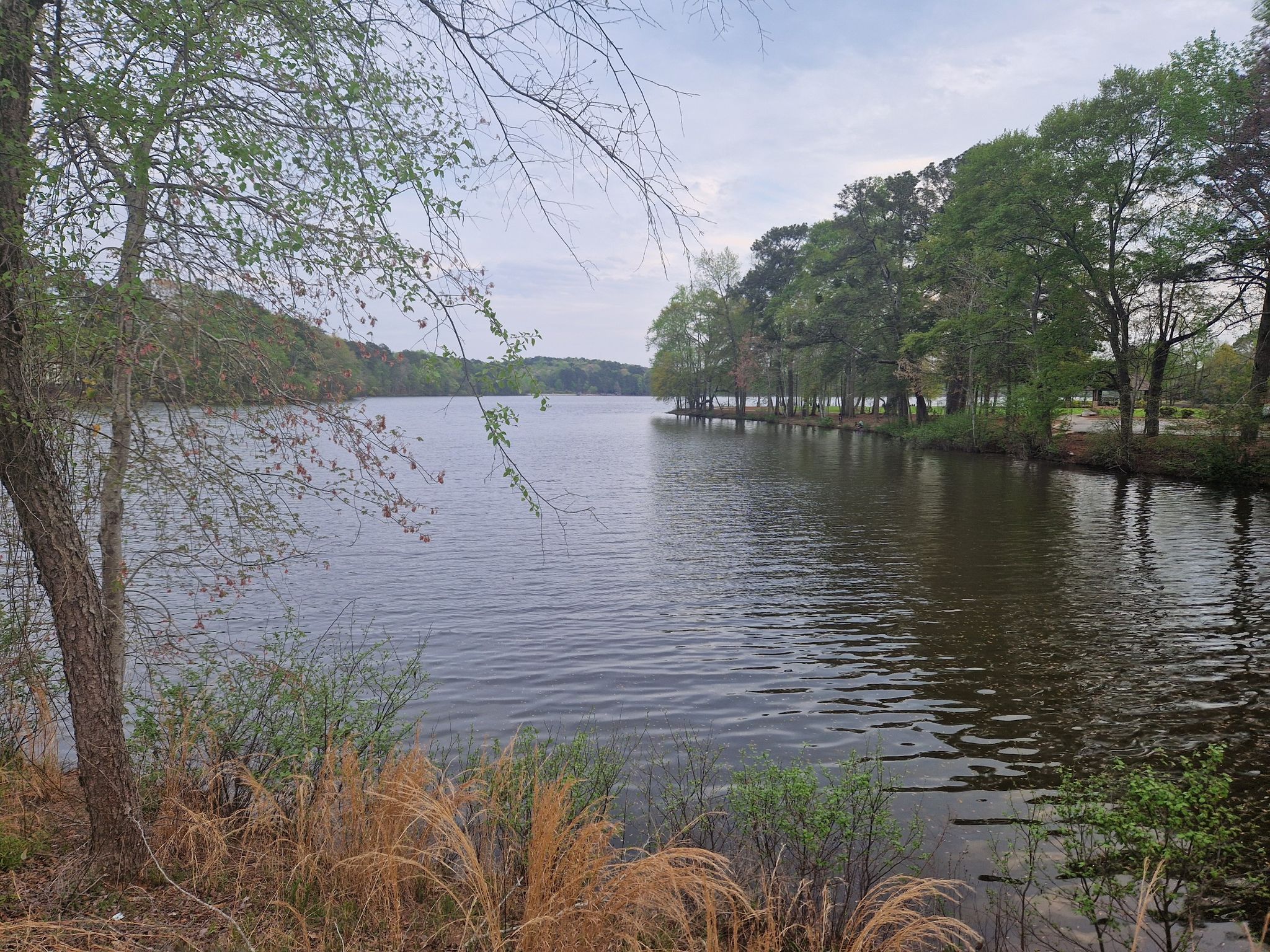 Lake view framed by trees and brush, with a distant forested shoreline. - Lake Kedron to Lake Peachtree Dam via North Peachtree Pathway loop