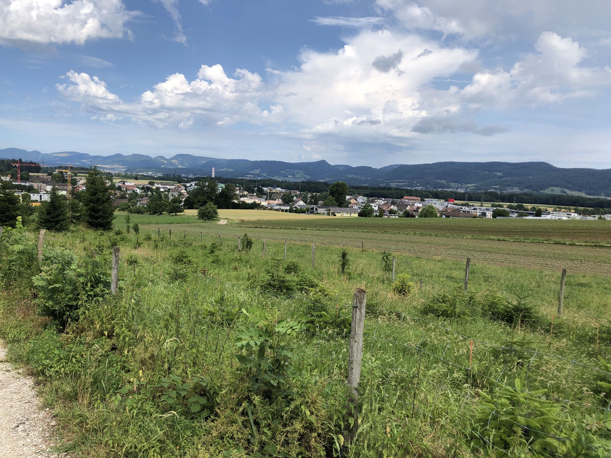 Aussicht über Hunzenschwil 