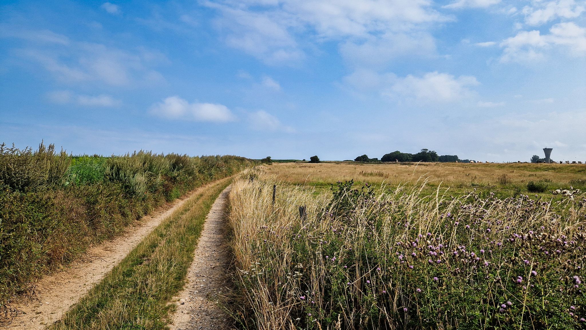 Weg von Flocques nach Le Tréport