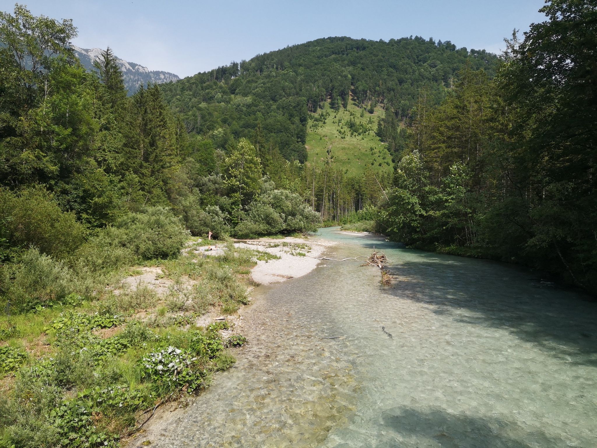die Alm