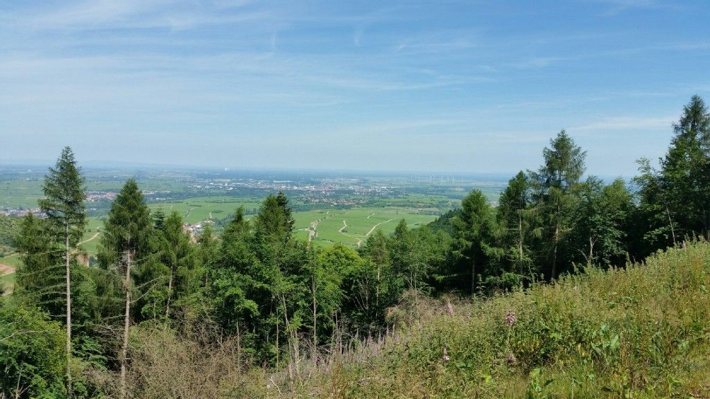 Blick nach Landau vom Förenberg