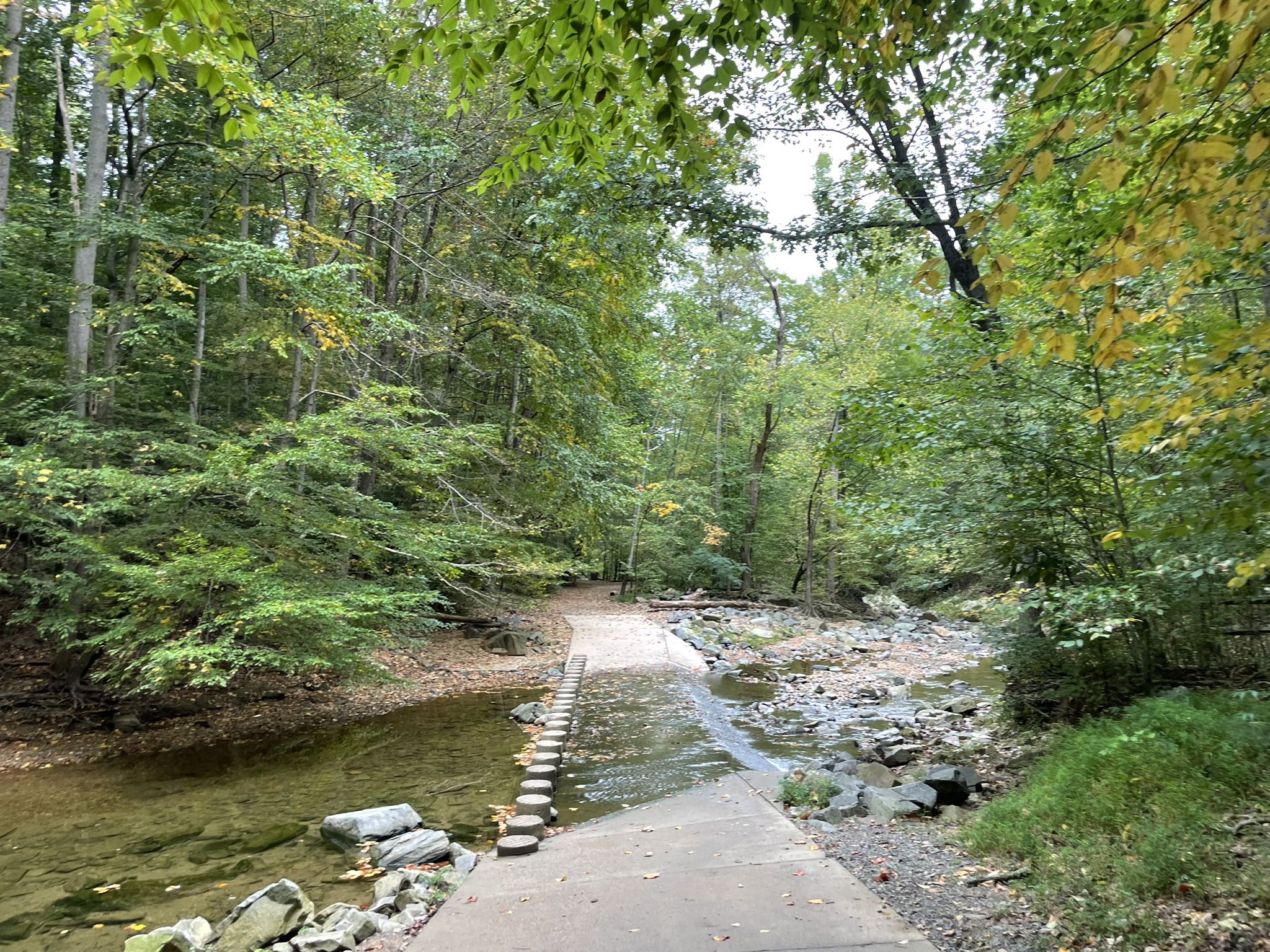 Concrete path with stepping stones crossing a shallow stream in a green forest. - Potomac Heritage Trail