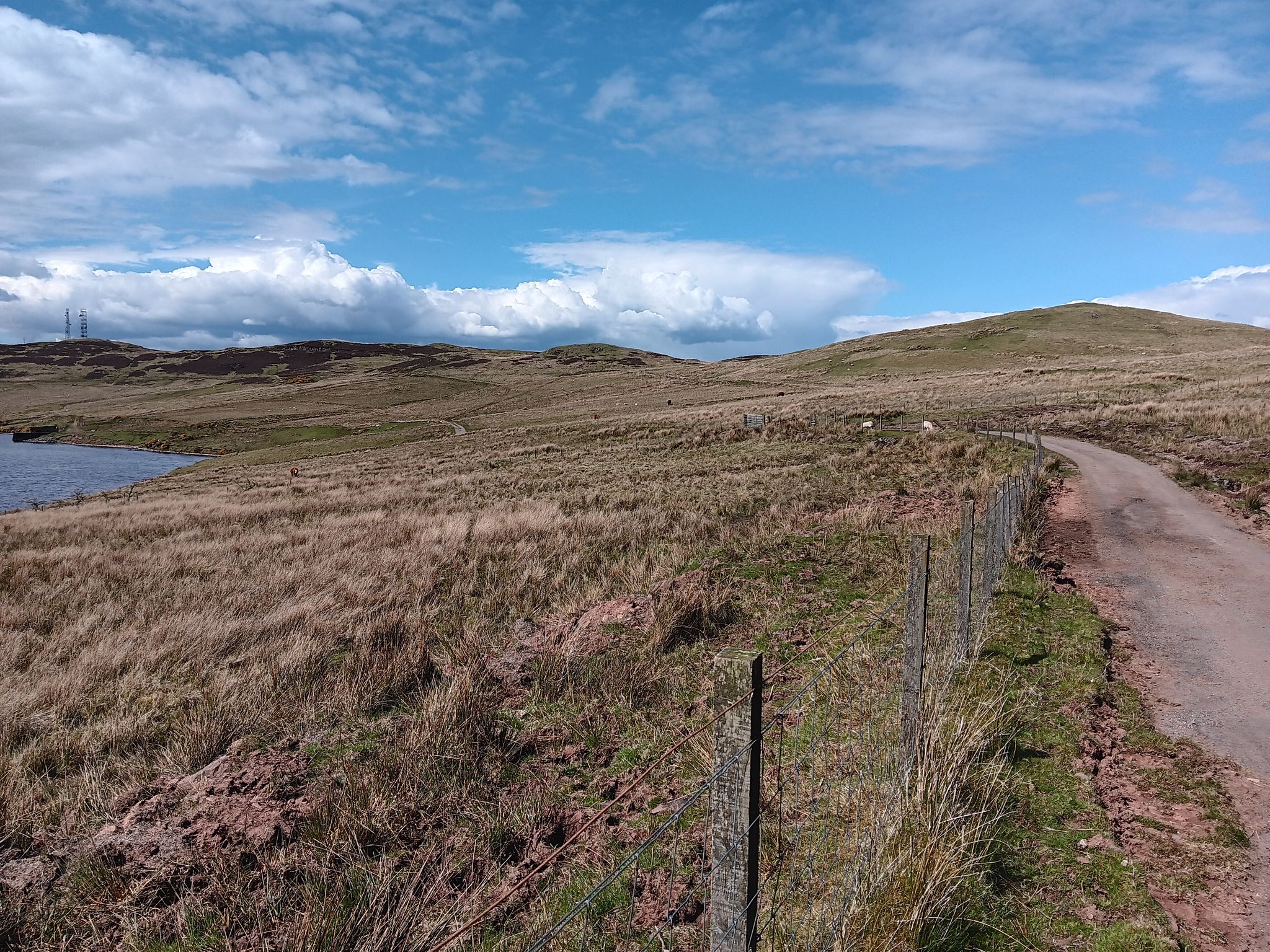 Looking back west towards Scroggy Bank and radio masts