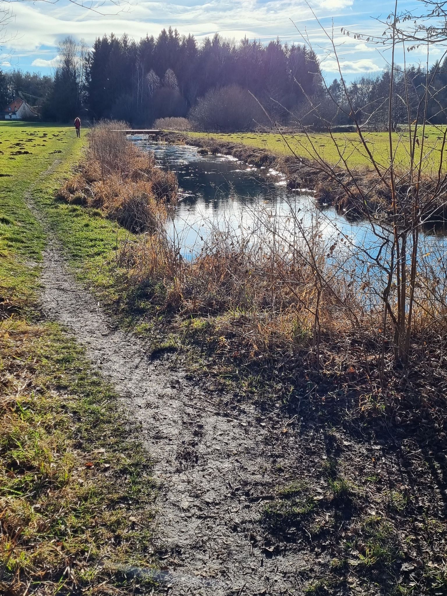 Singletrail an der Anzinger Sempt