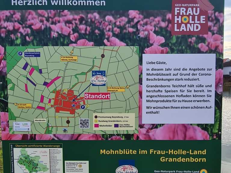 Premiumweg P13 "Boyneburg" von Wanderparkplatz in "Grandenborn