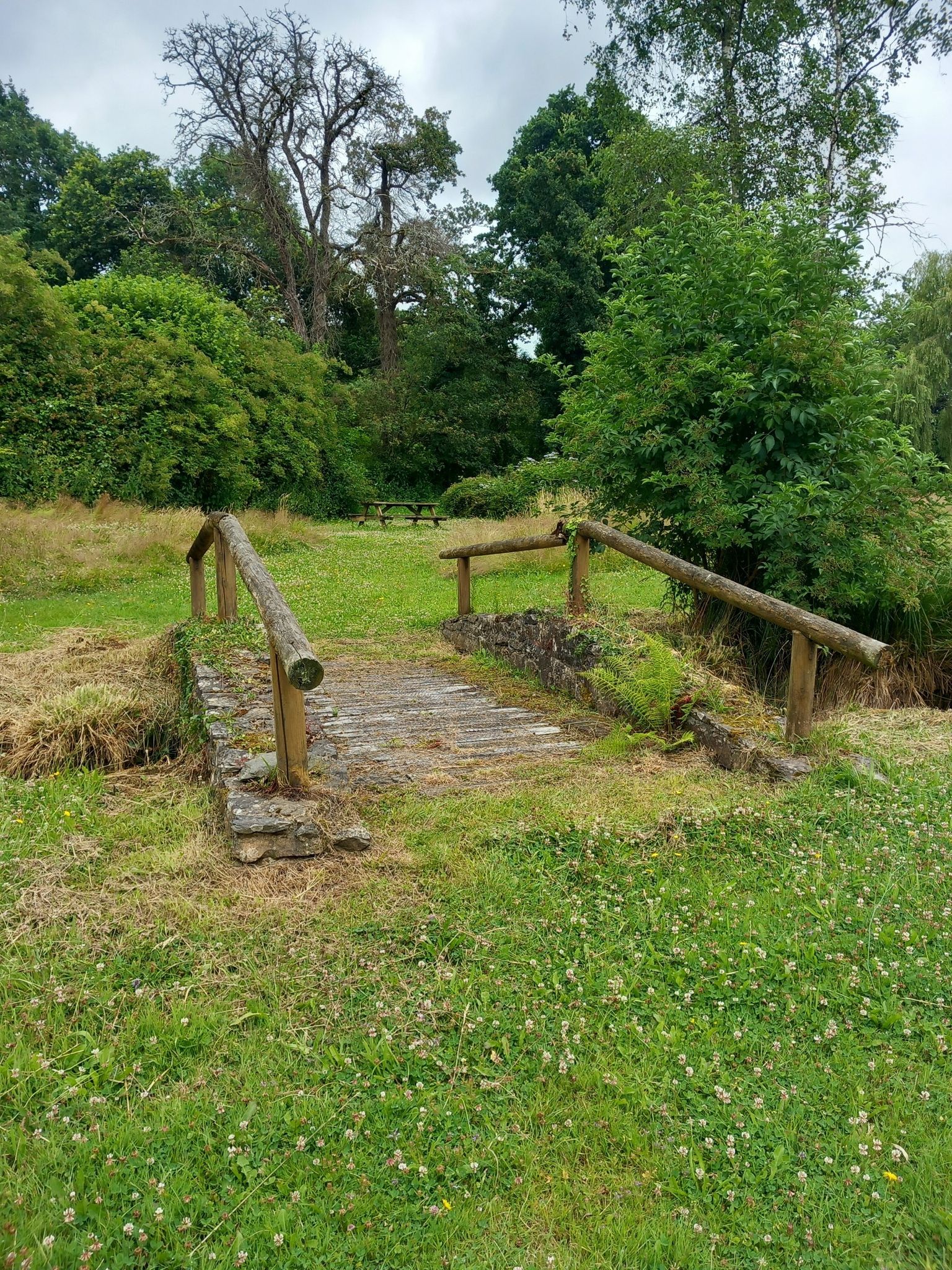pont