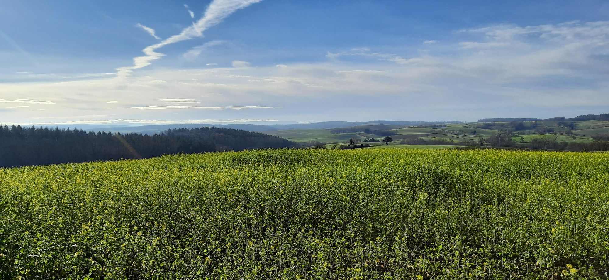 Helmsheim