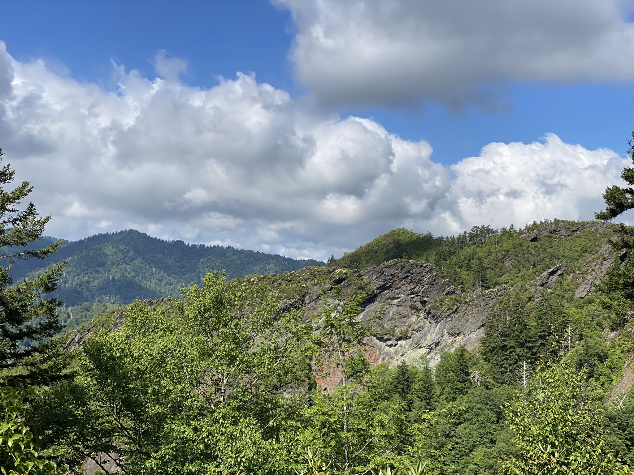 Sunny mountain landscape with rocky outcrops, green trees, and white clouds. - Alum Cave Trail
