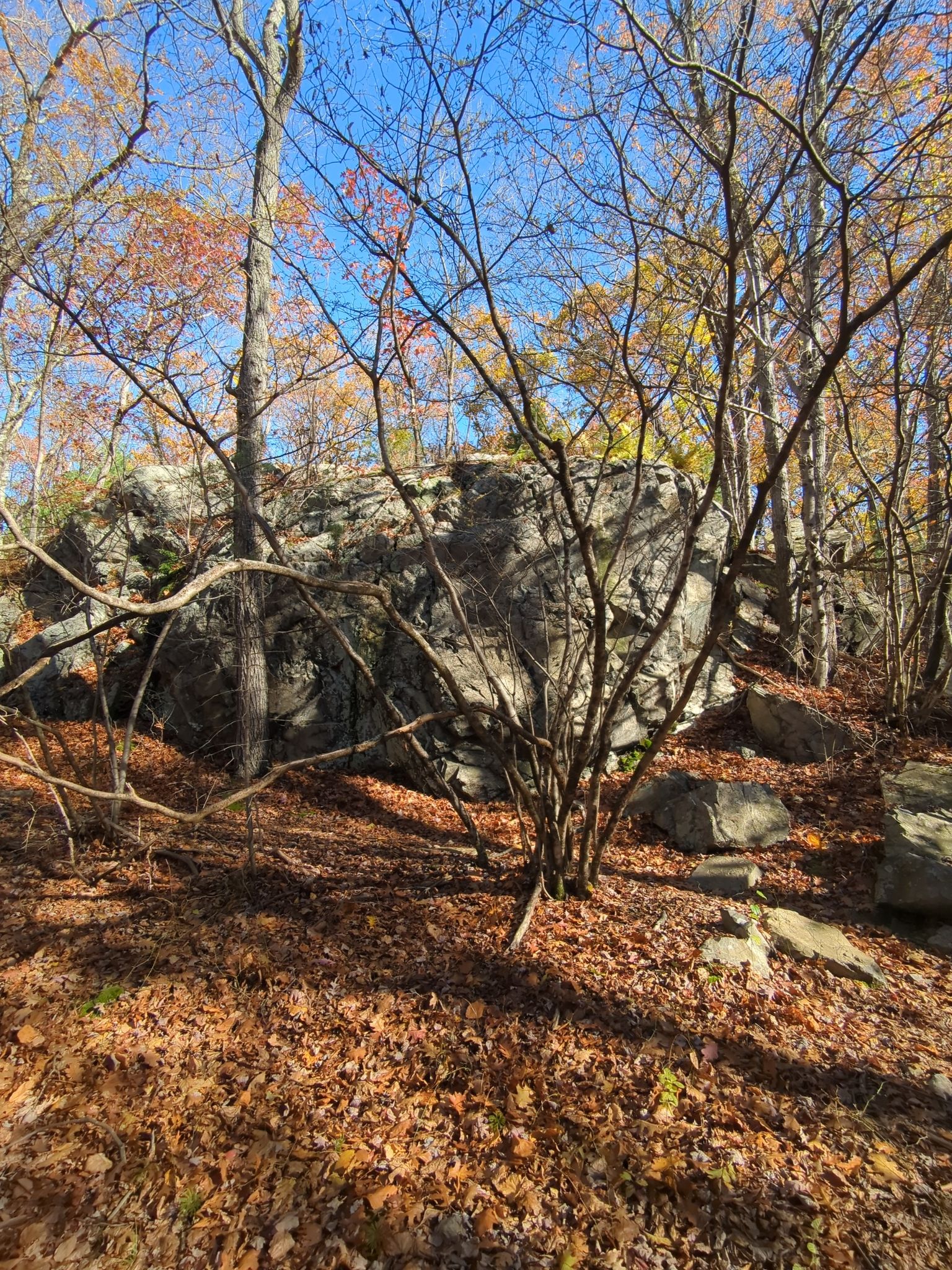 Large rock formation in a sunny autumn forest with fallen leaves. - Dover Union Iron Mill Ruins – Sawmill Pond loop from Dover