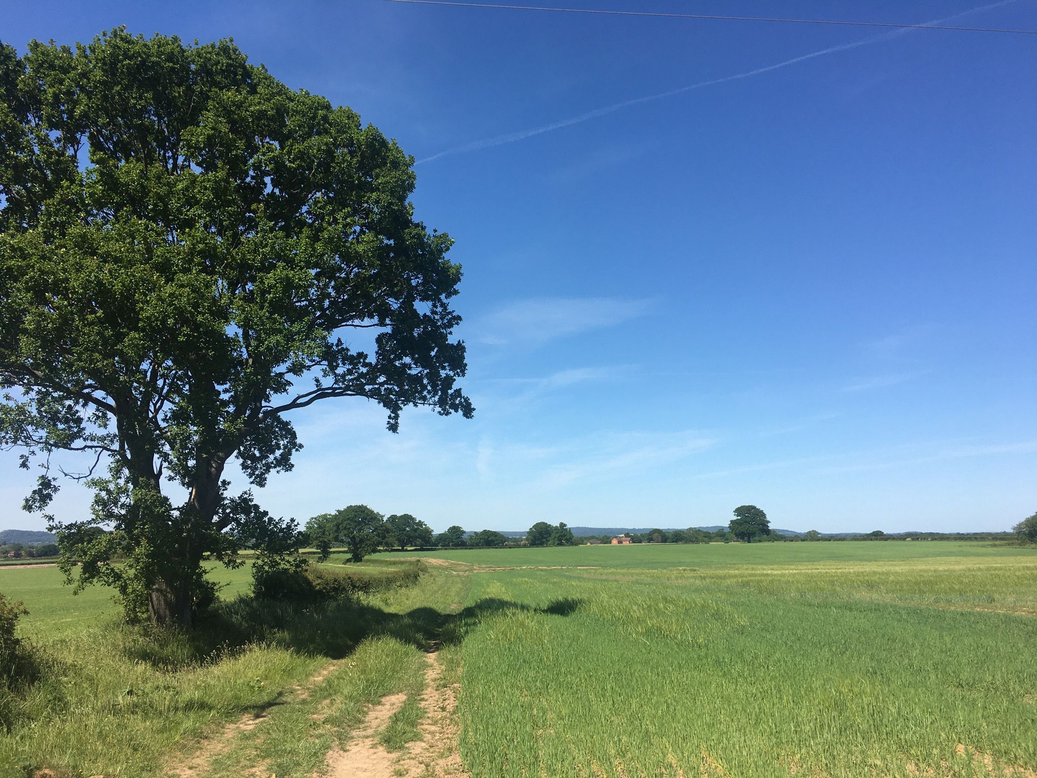 Green fields blue skies