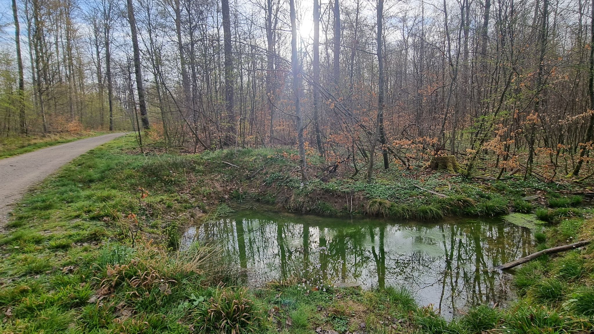 Kleines Biotop