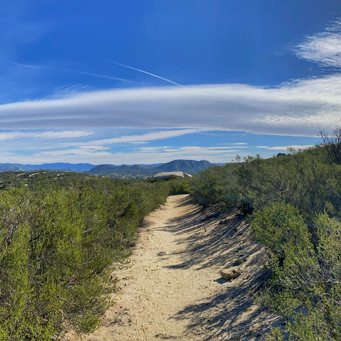 A dirt path winding through green bushes towards distant mountains under a blue sky. - Morena Butte loop from Lake Morena Drive & Lake Morena Campground