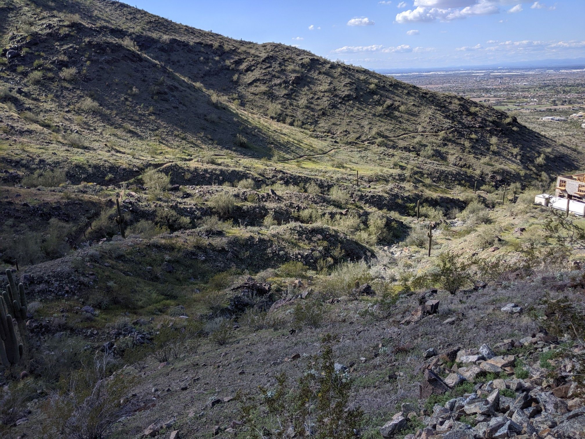 Steep, rocky desert hillside with sparse vegetation and distant city views under sunny skies. - Alta and Ma-Ha-Tuak Perimeter Loop