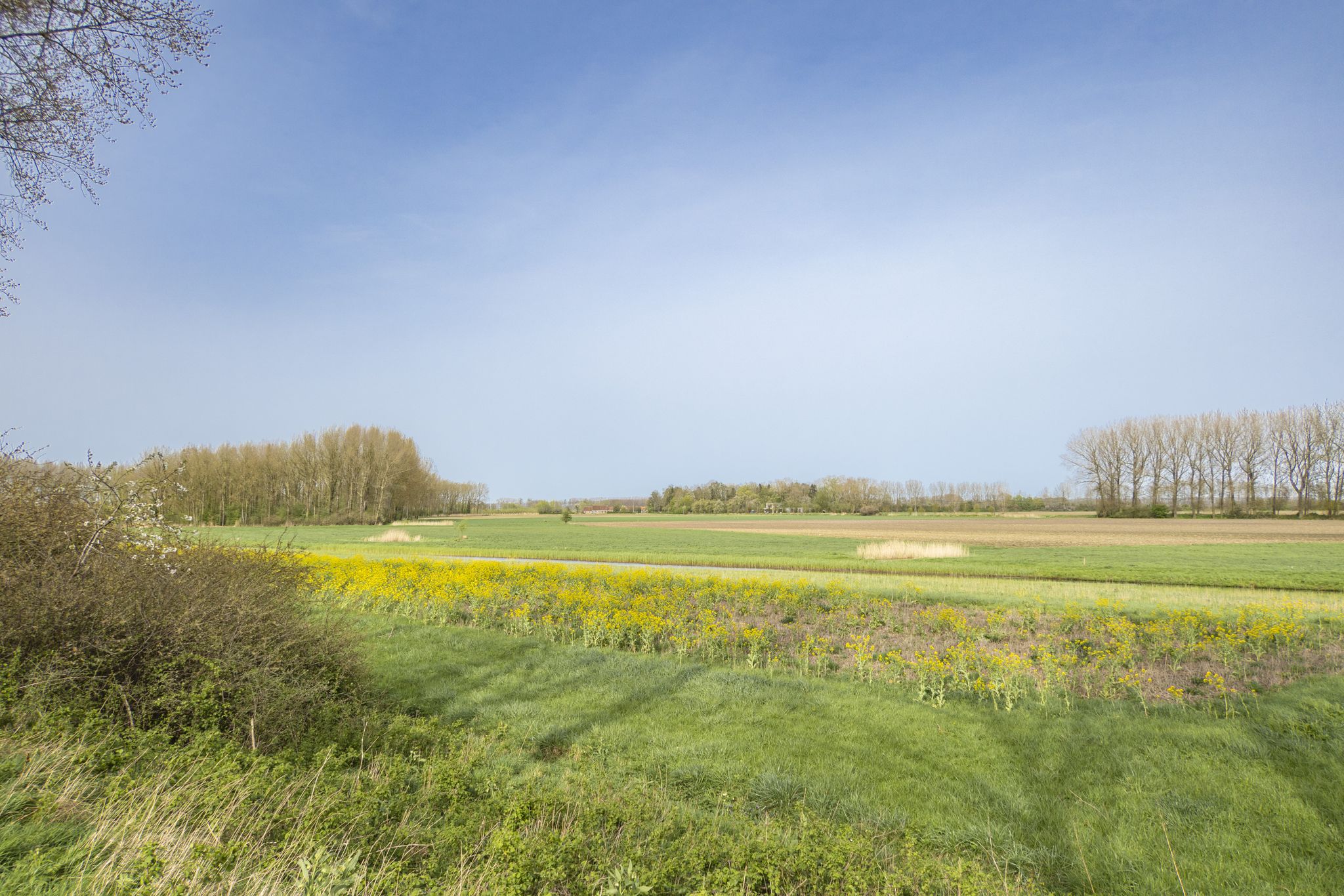 en de polders