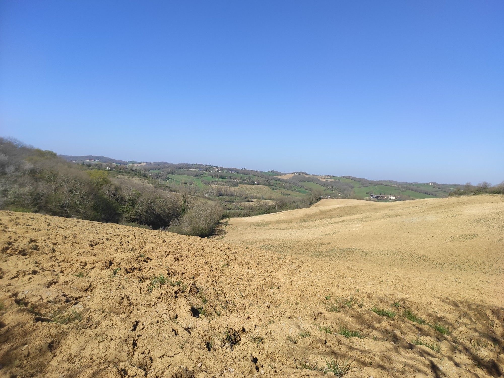 en haut