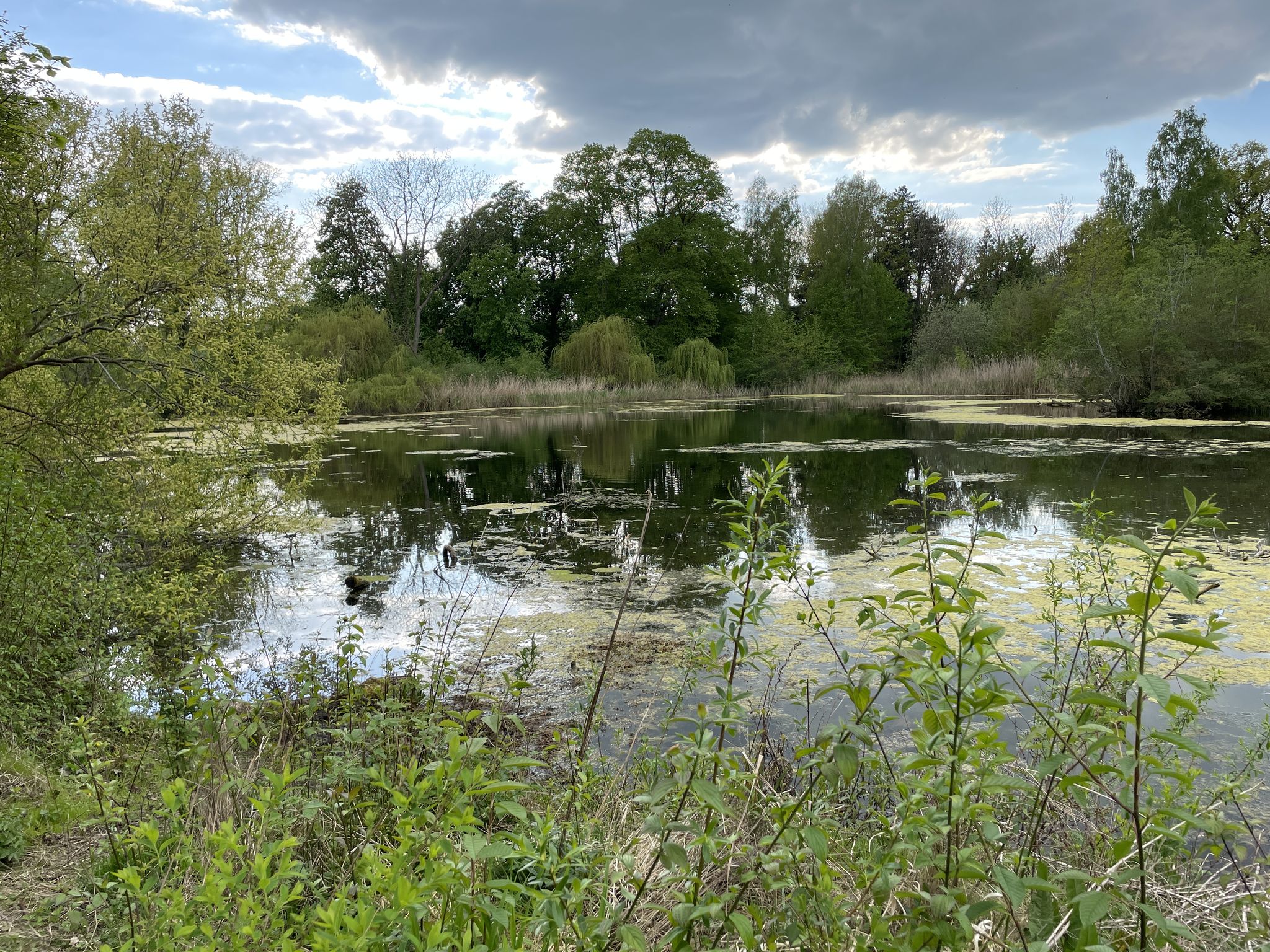 Park Schloss Neetzow