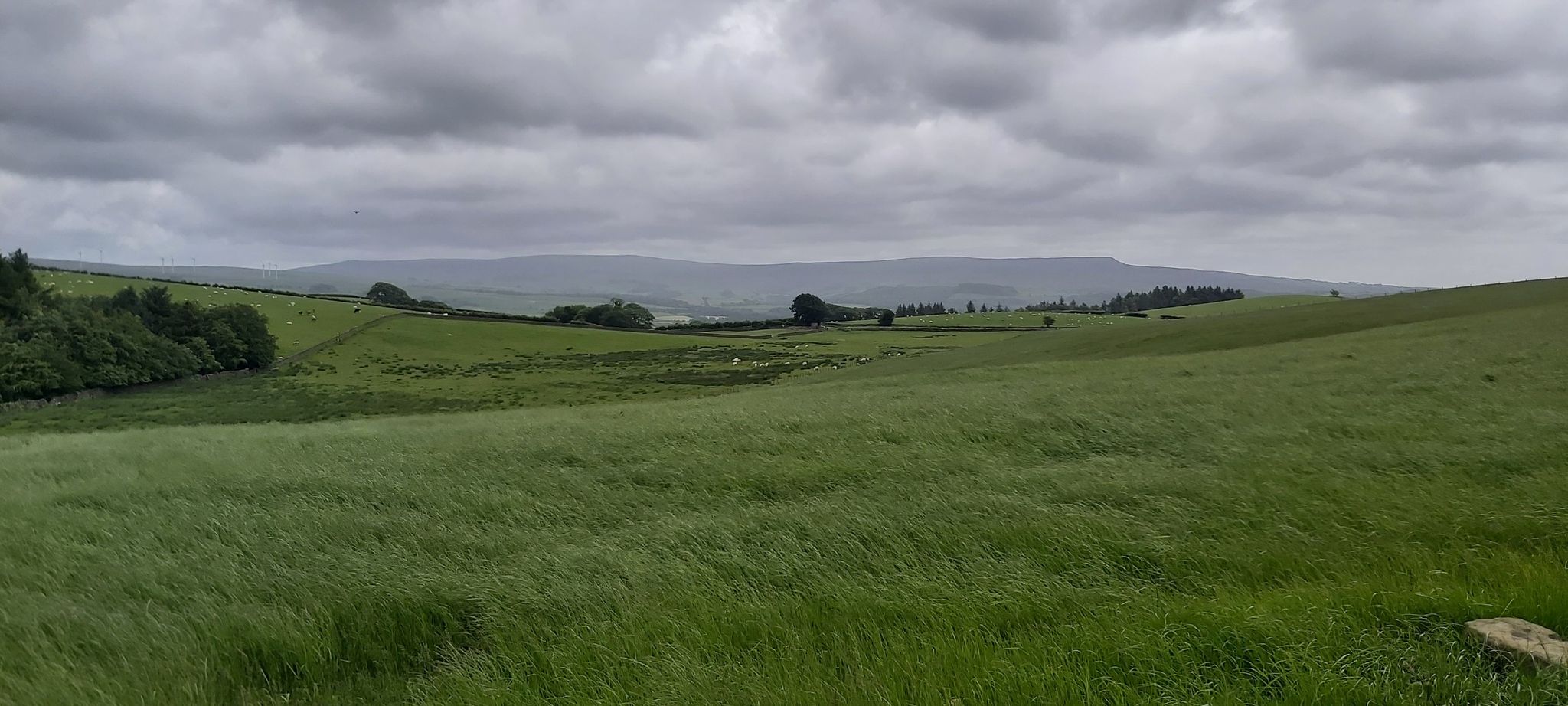 View of Lune Valley