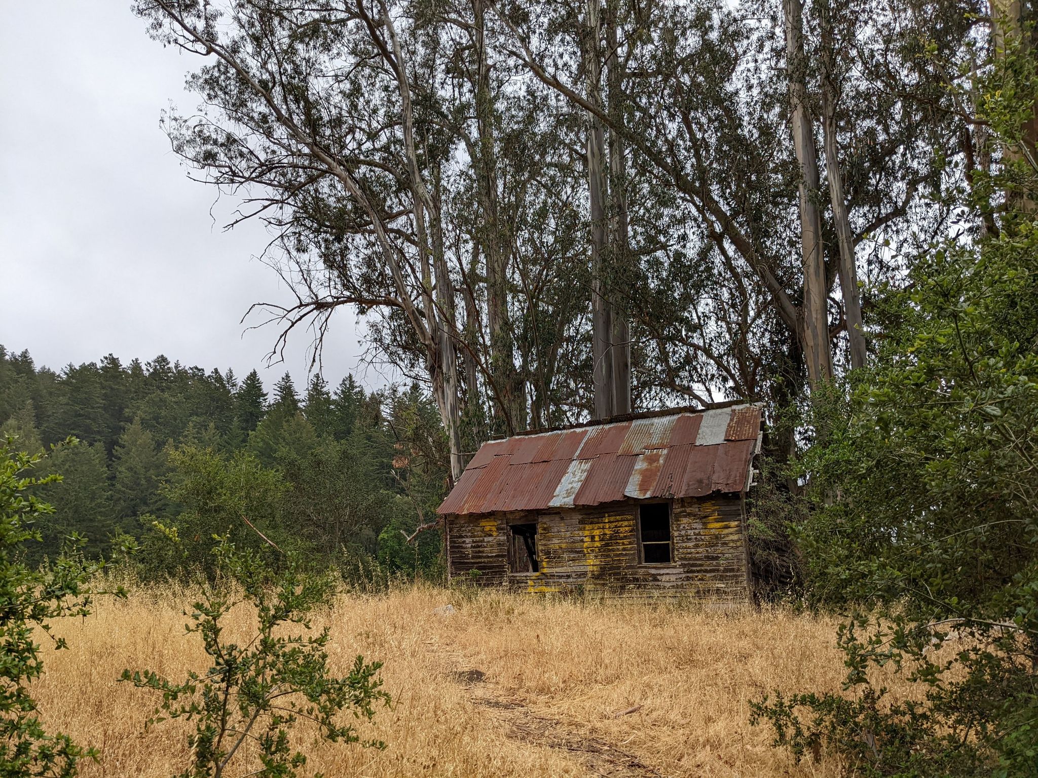 Dilapidated wooden shack with a rusty roof in a dry field under cloudy skies. - Tarwater Loop Trail