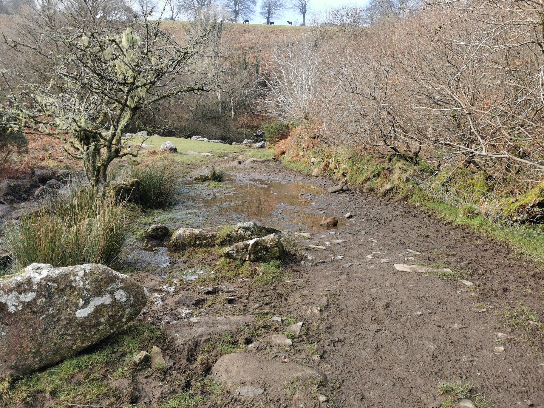 You might need wellies.