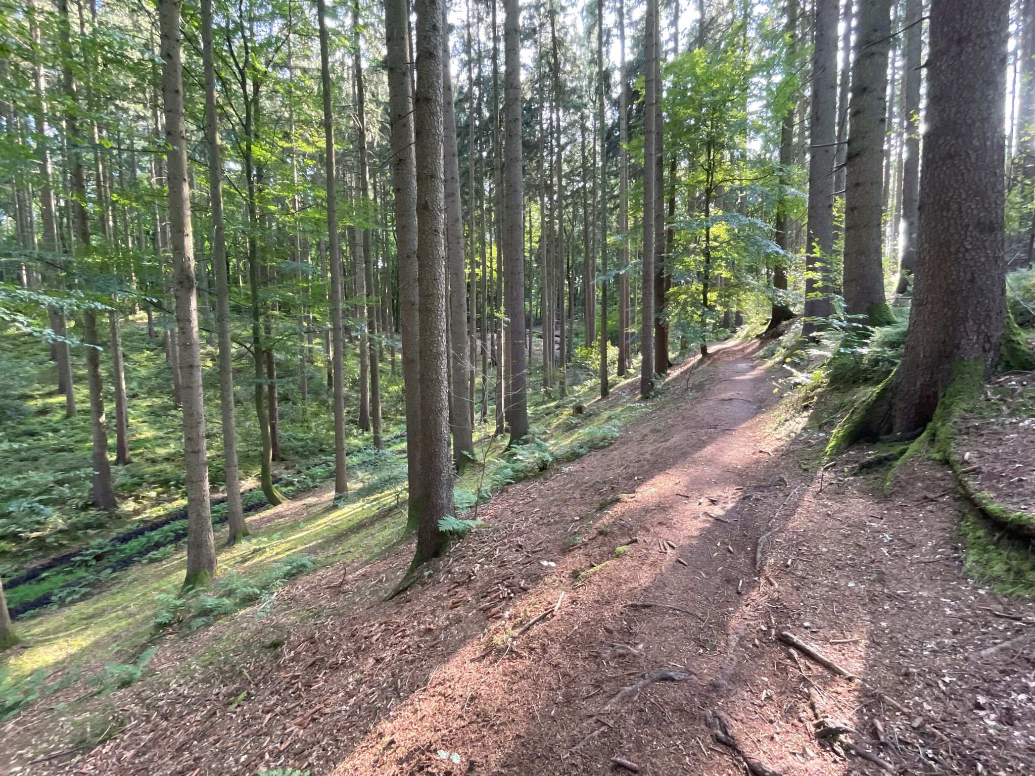 Schlangentrail am Schlangenweg