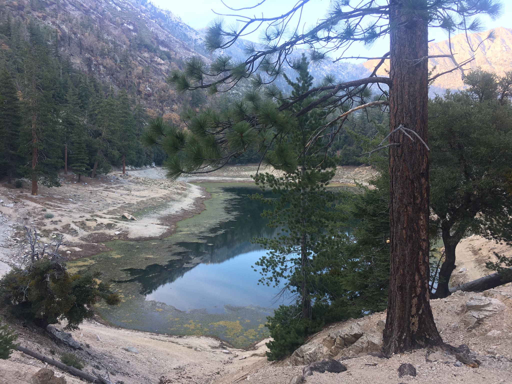 A calm lake surrounded by pine trees and mountains under soft light. - Crystal Lake – Angeles National Forest