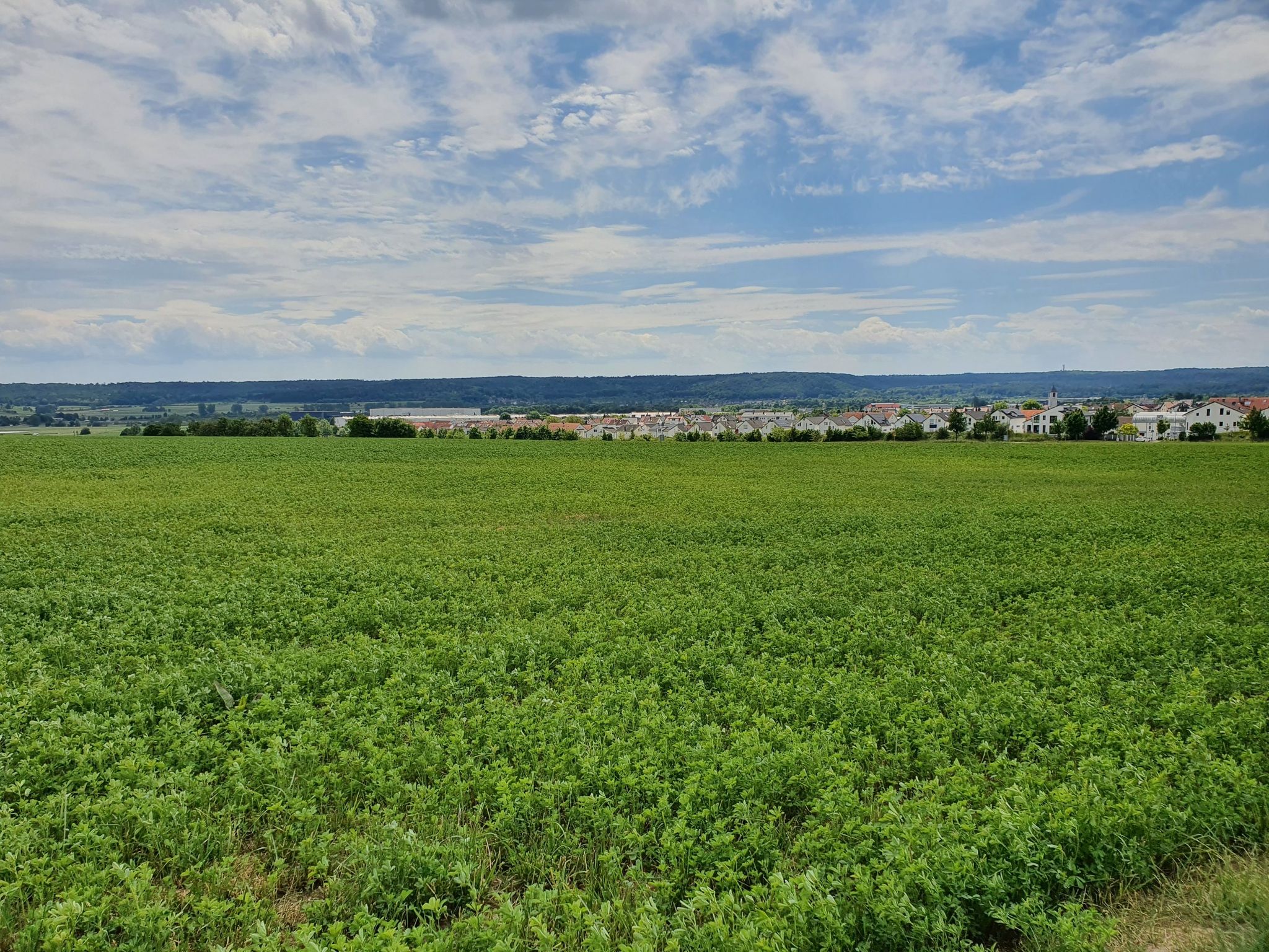 Blick über Gärtringen zum Schönbuchturm