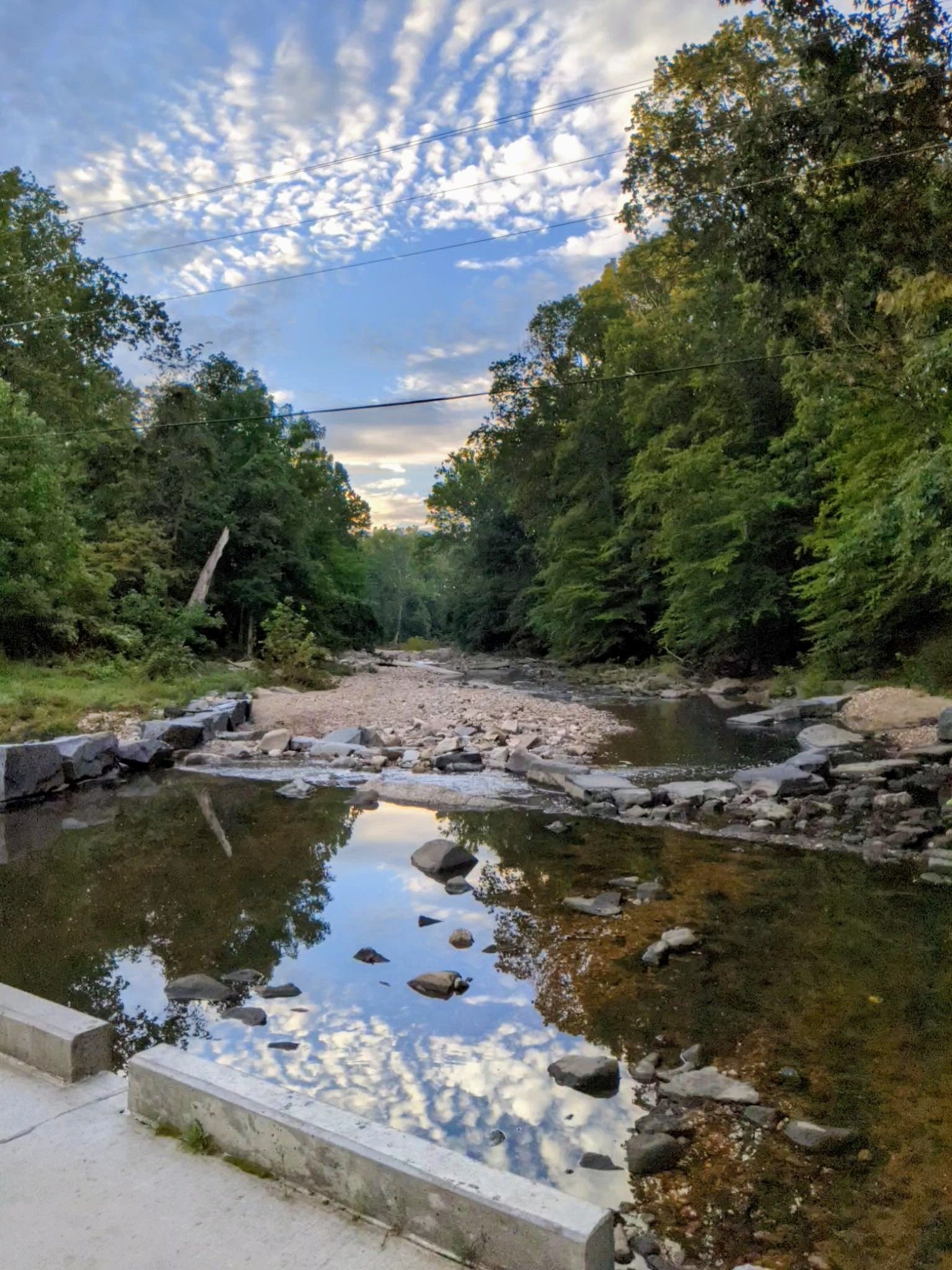 Rocky stream flowing through green forest under a partly cloudy sky. - Holmes Run Trail