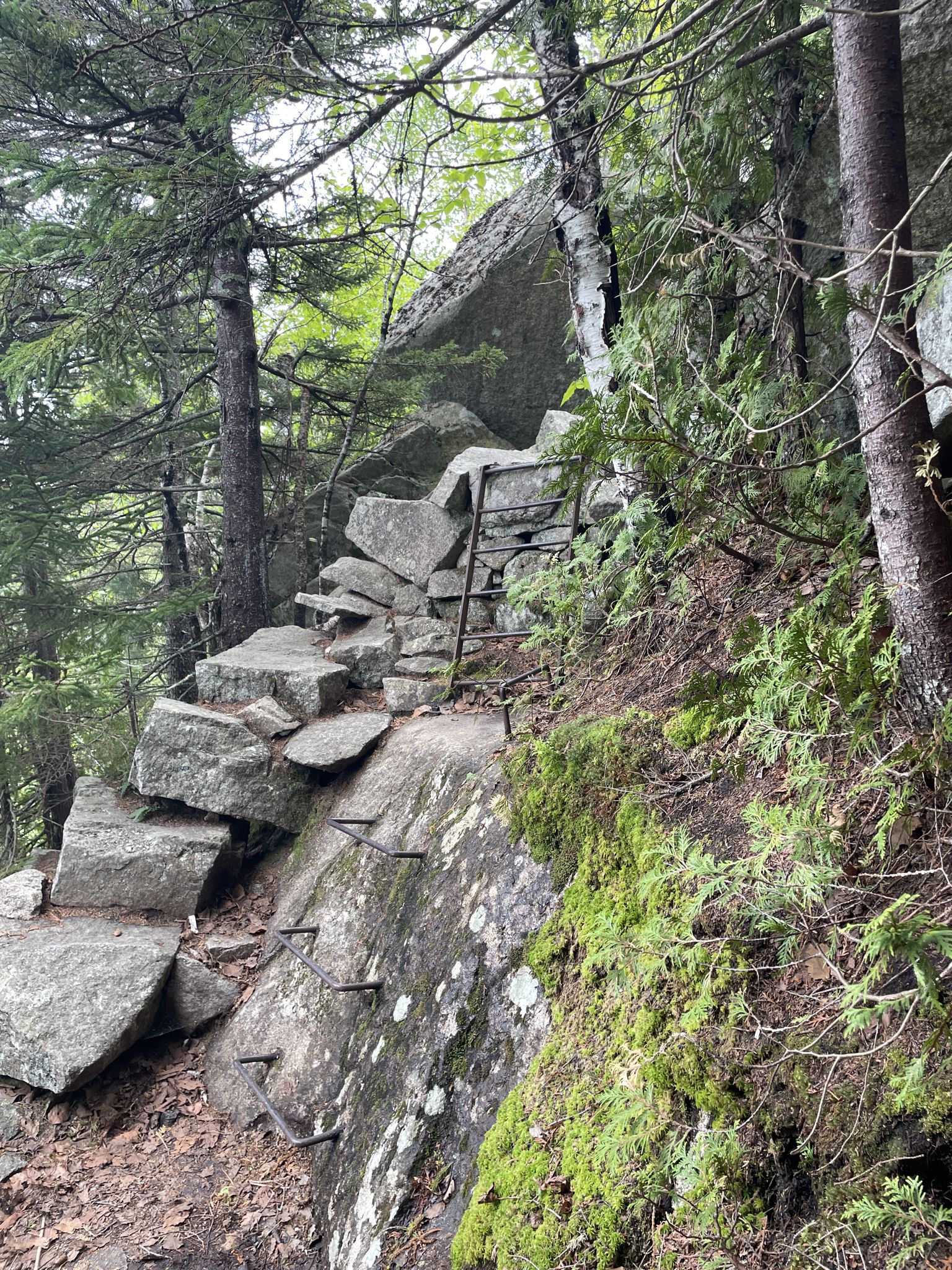 Steep, rocky forest trail with metal rungs and a ladder on a large boulder. - Perpendicular Trail