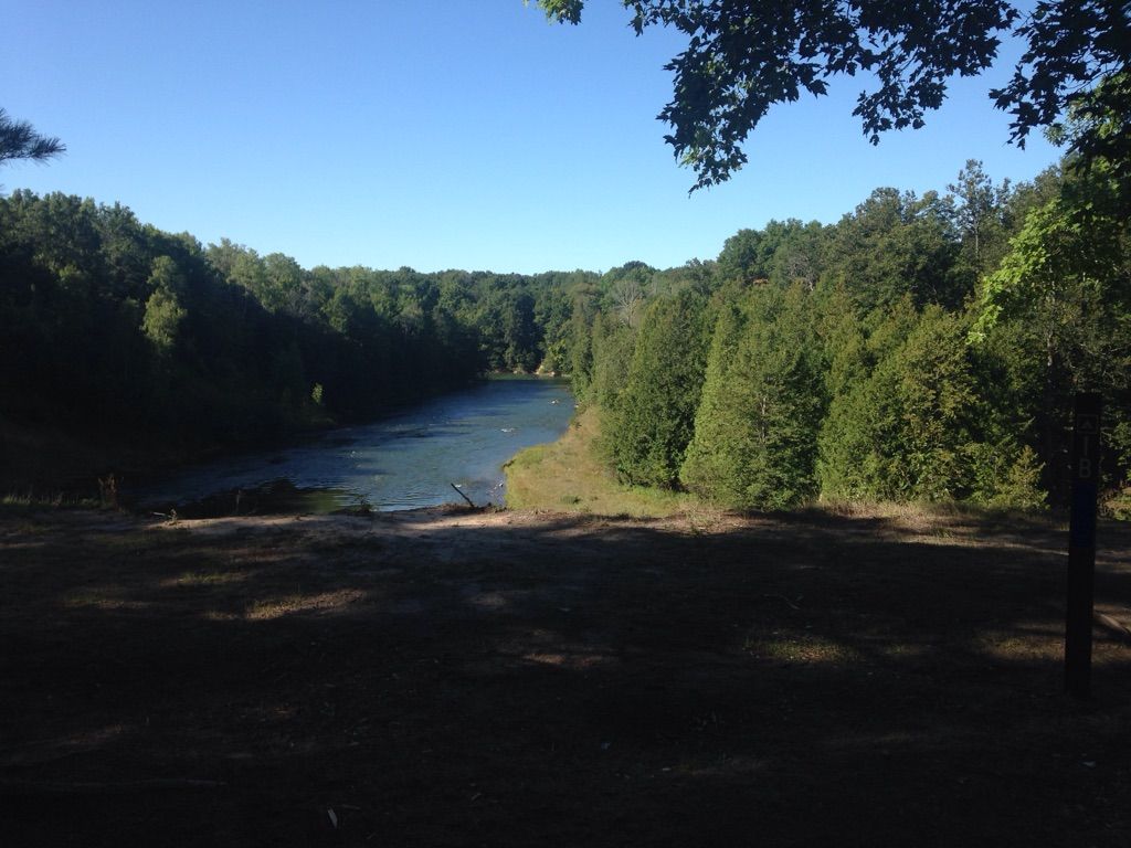 A river flows through a dense green forest under a clear blue sky. - Manistee River loop from Hodenpyl Dam