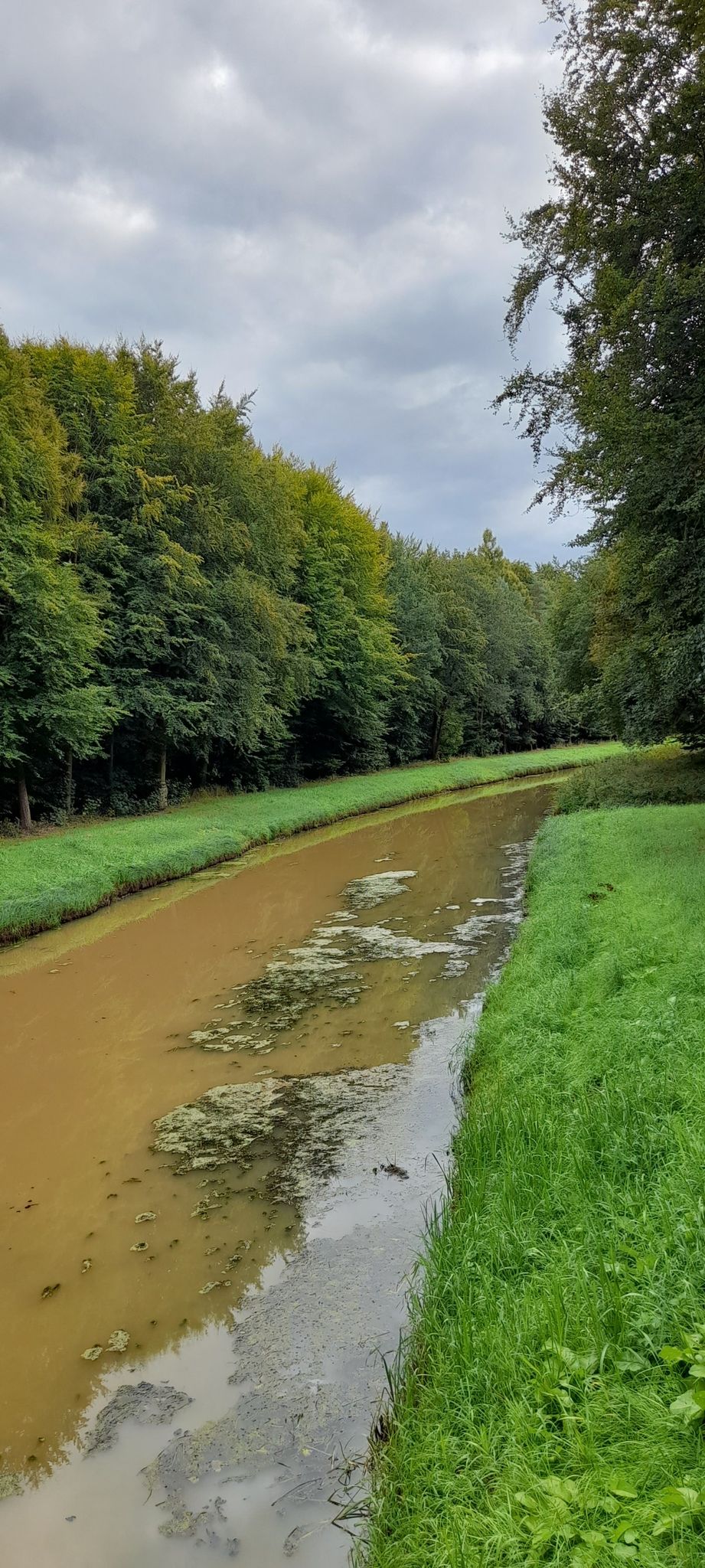 Wagenfelder Aue