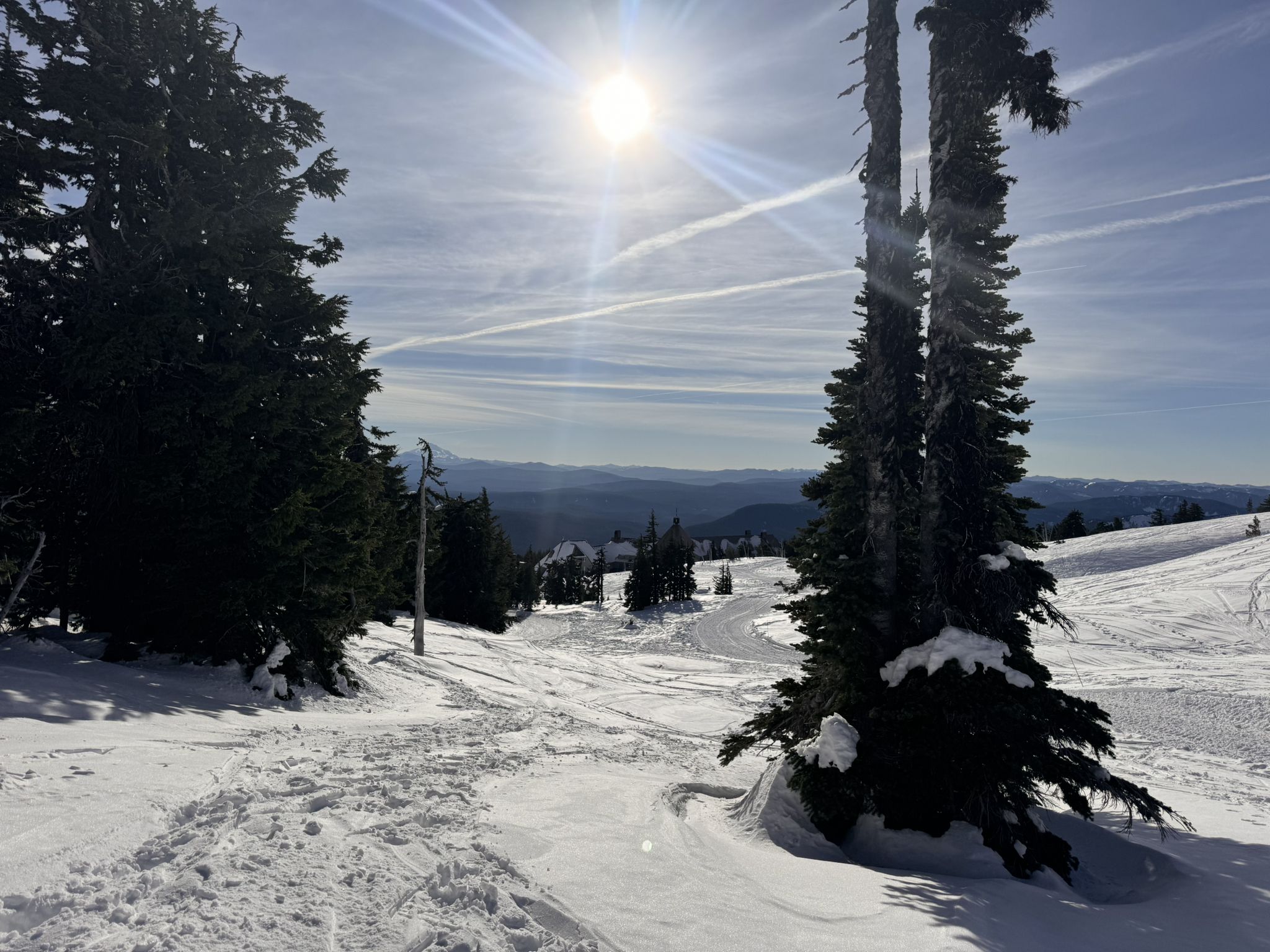 Bright sun over a snowy mountain slope with tall evergreen trees. - Silcox Hut Trail