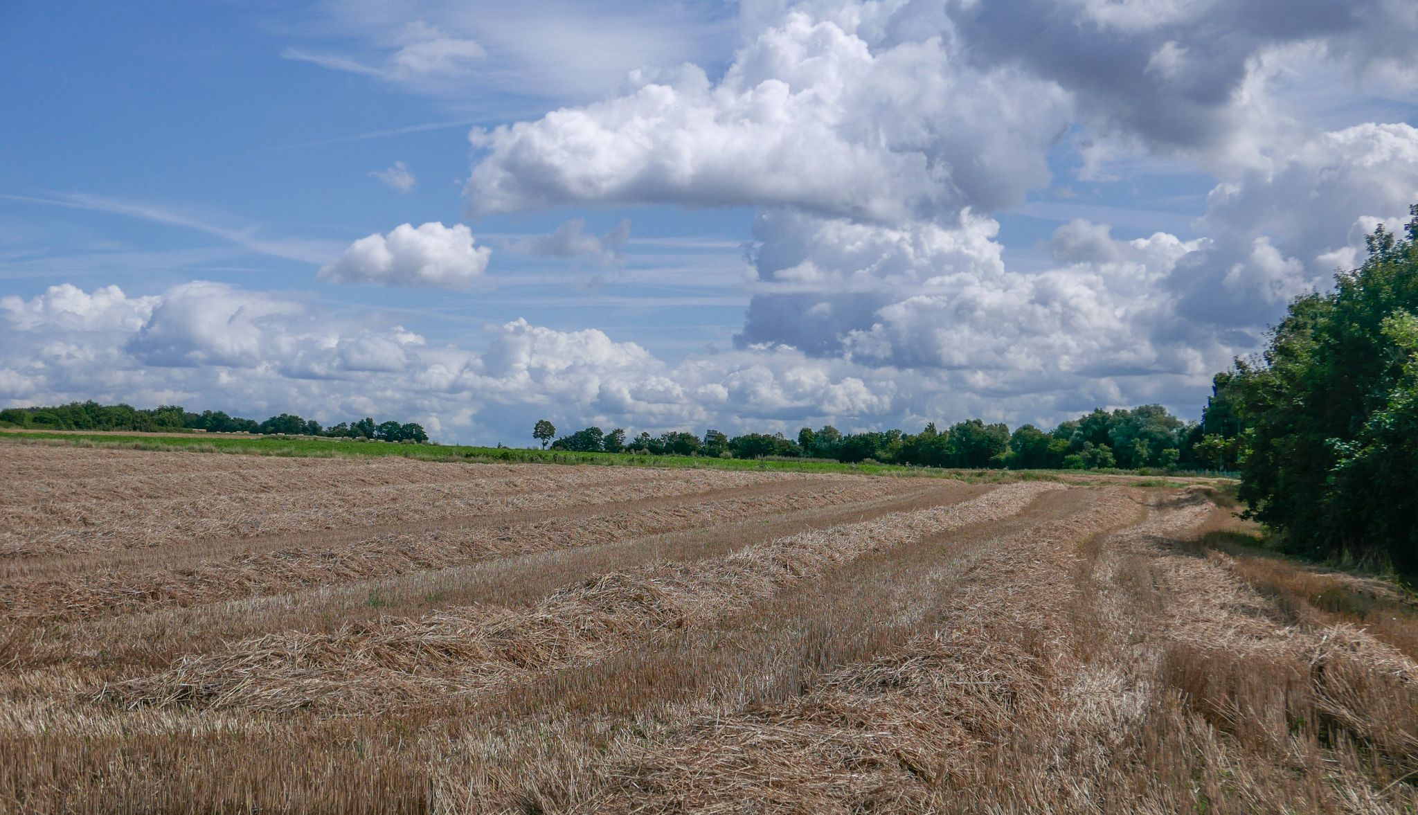Tolles Erholungsgebiet zwischen Frankfurter Berg und Heilsberg-Siedlung