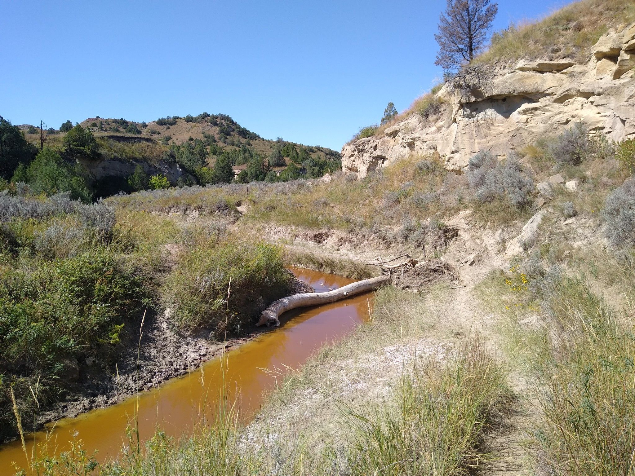 Sunny view of an orange stream with a log, flanked by grassy hills. - Lower Paddock Creek Trail