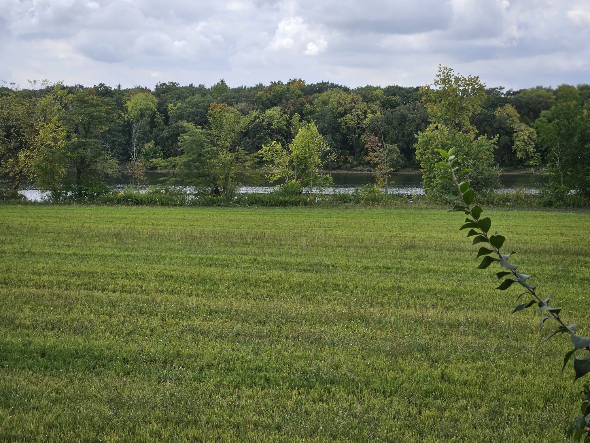 Expansive green field with a distant river and dense forest under cloudy sky. - Otawa – Old I&M Canal Trail loop from Morris