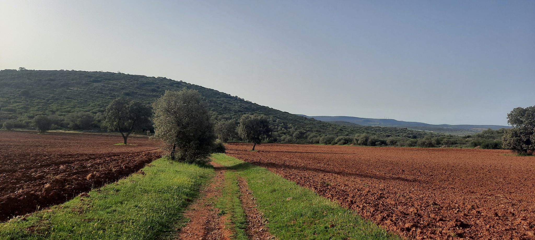 Monte Siles