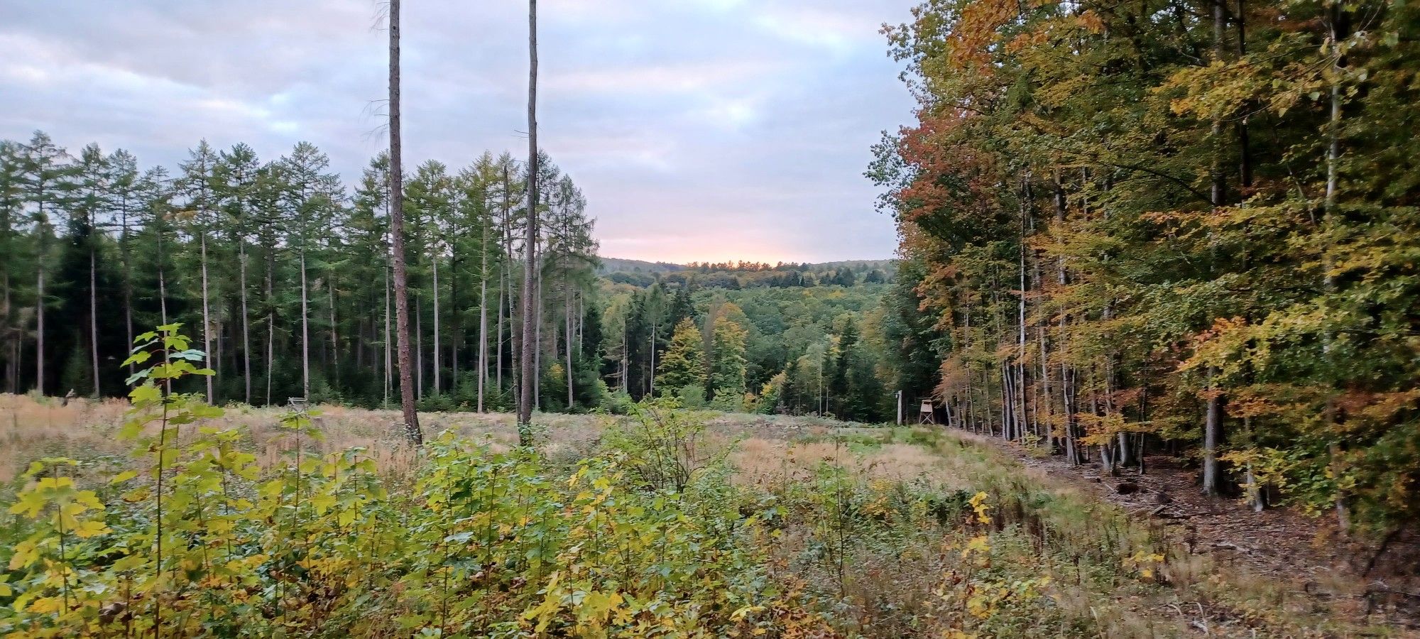 unverkennbar es wird Herbst