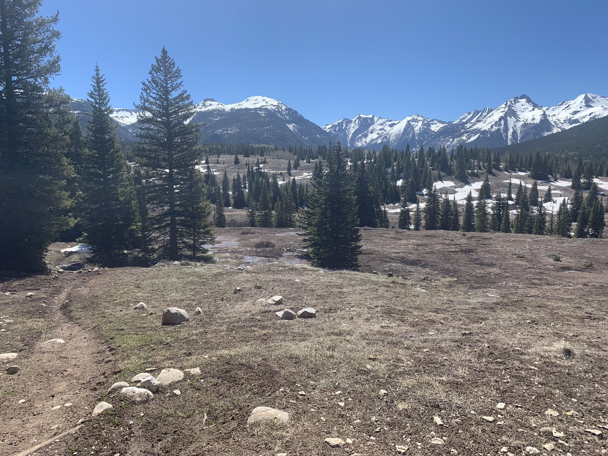 Sunny mountain landscape with pine trees, snow-capped peaks, and a dirt trail. - Molas Lake loop
