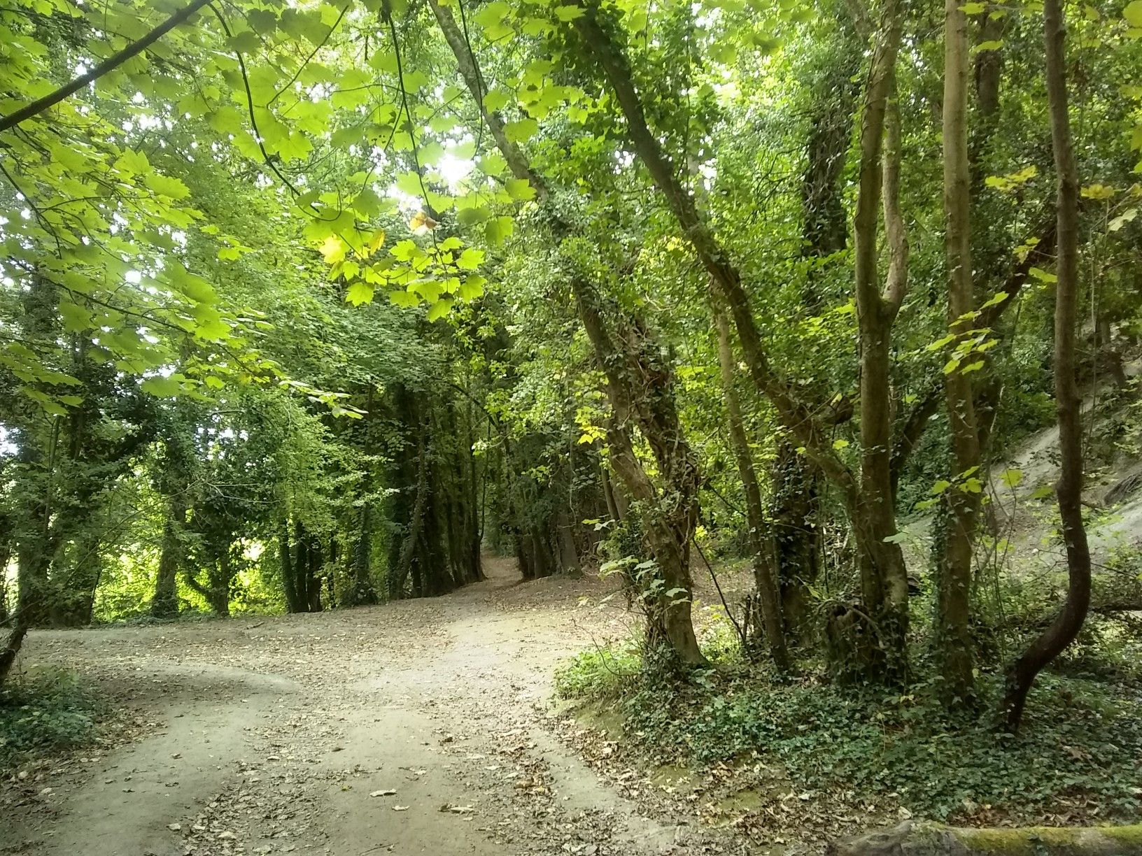 on the way to Offham 