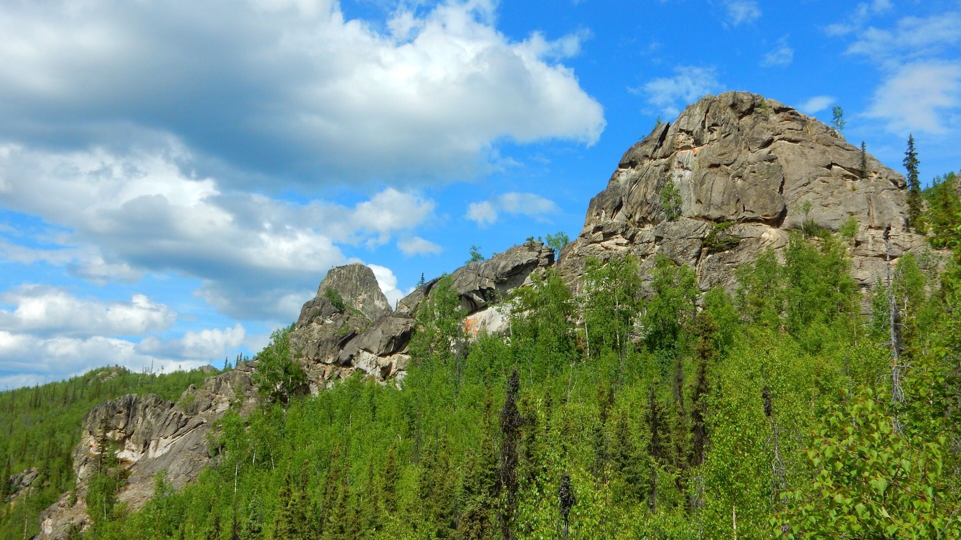 Large rocky outcrops on a green forested hillside under a bright sky. - Angel Rocks to Chena Hot Springs Trail