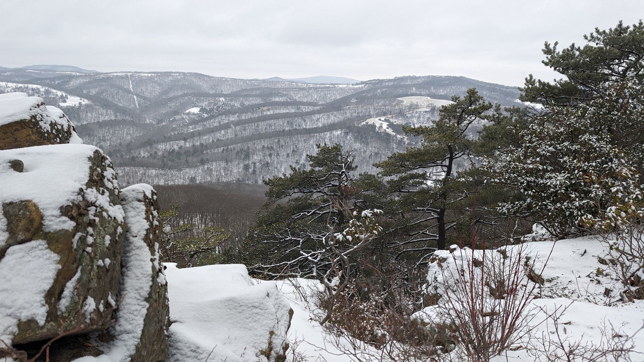 Snowy mountain landscape with pine trees and rocky foreground under cloudy sky. - White Oak to Big Ridge Loop