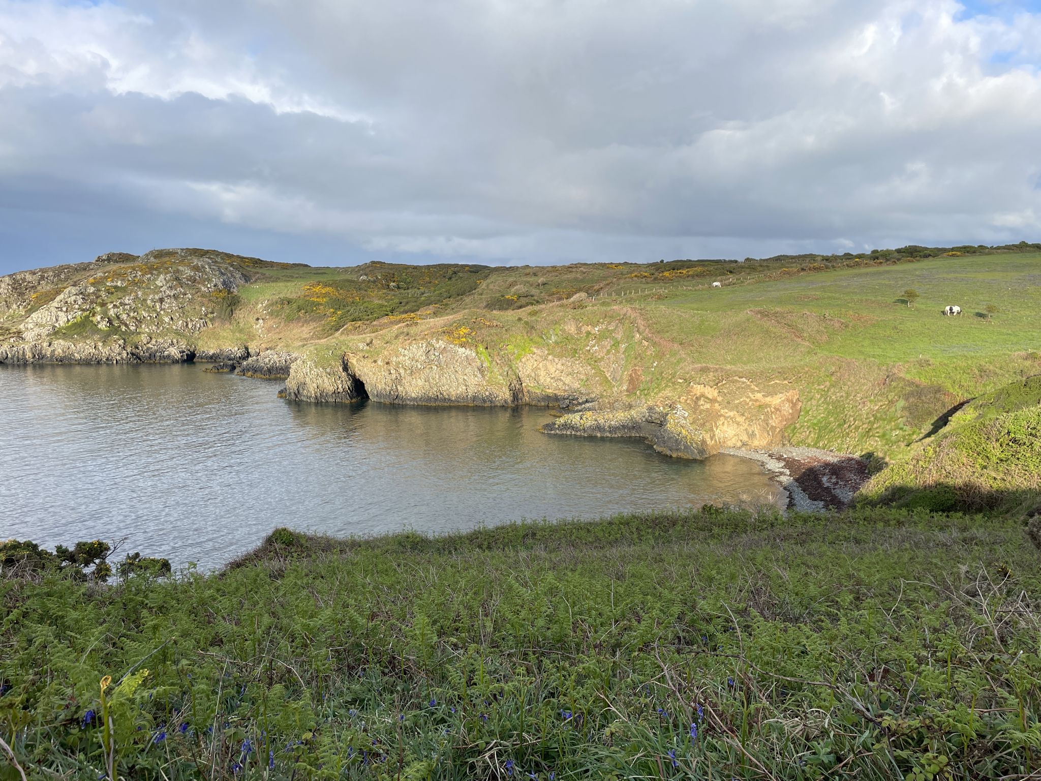 Porthsychan