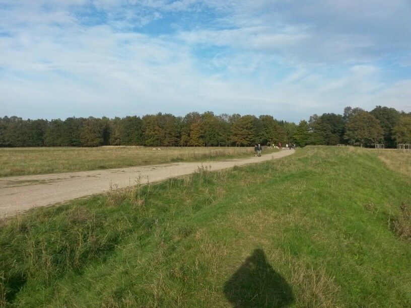 Wentorfer Lohe