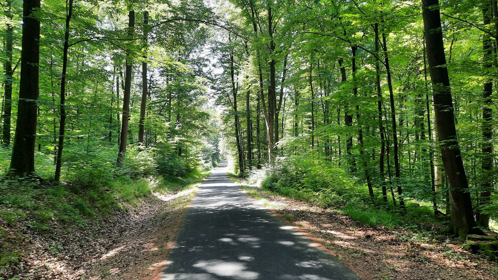 Nahe "Großer Kreuzberg"