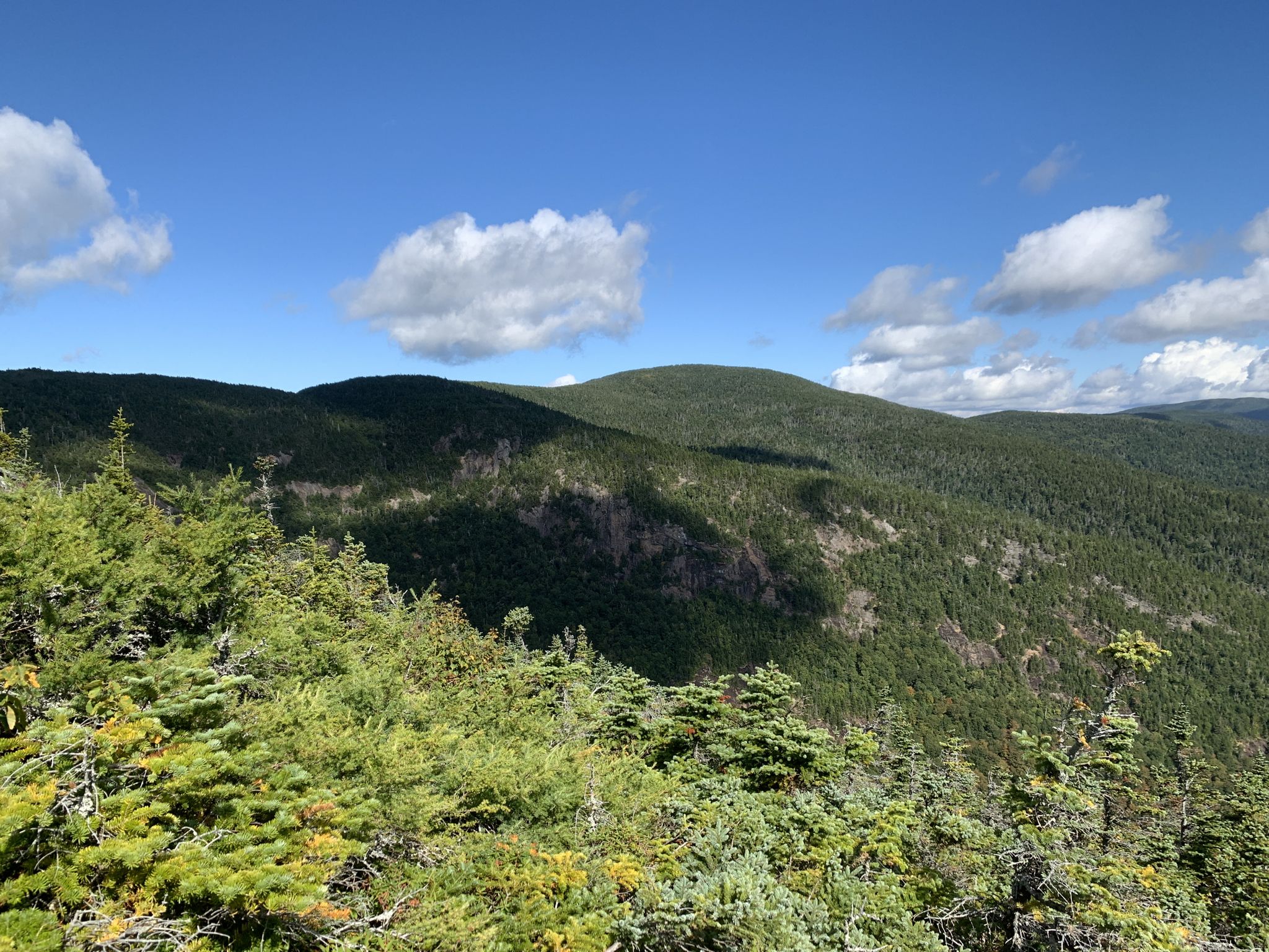 Sunny view of forested mountains under a blue sky with white clouds. - Wright Trail to Goose Eye and Mount Carlo