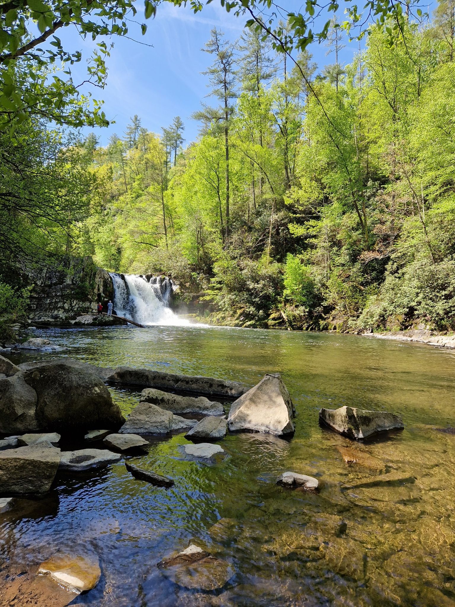 People near a cascading waterfall in a clear river surrounded by vibrant green trees. - Abrams Falls Trail