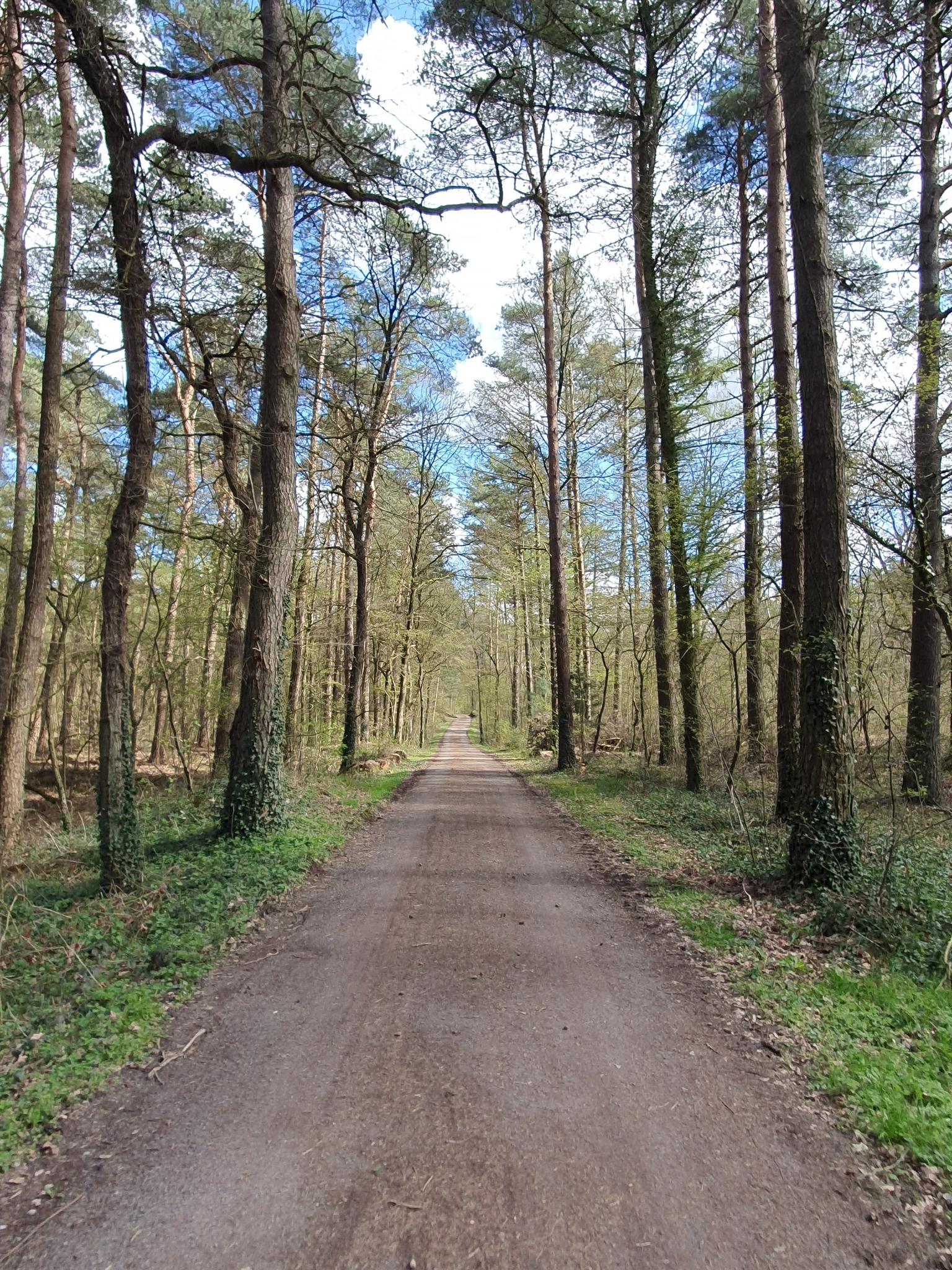 O que fazer em Warnowseen