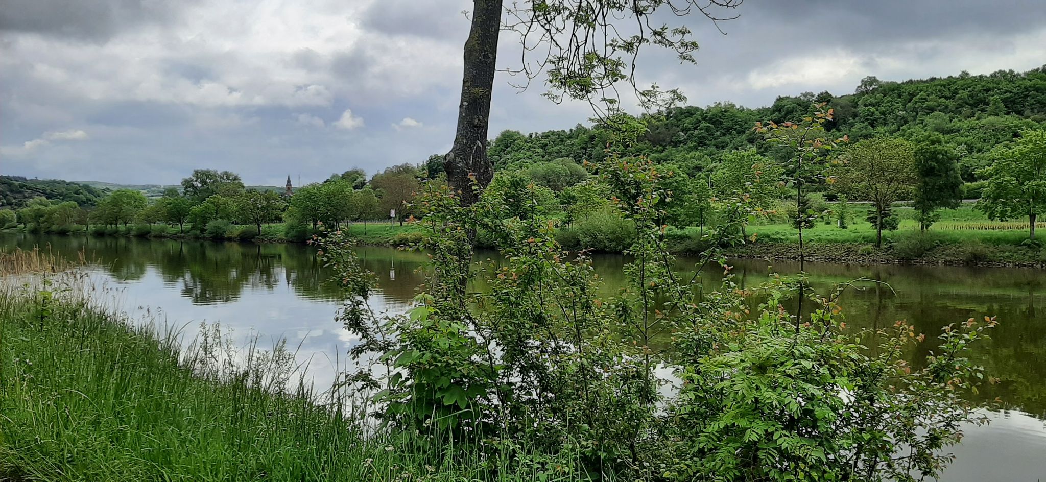 Die Mosel